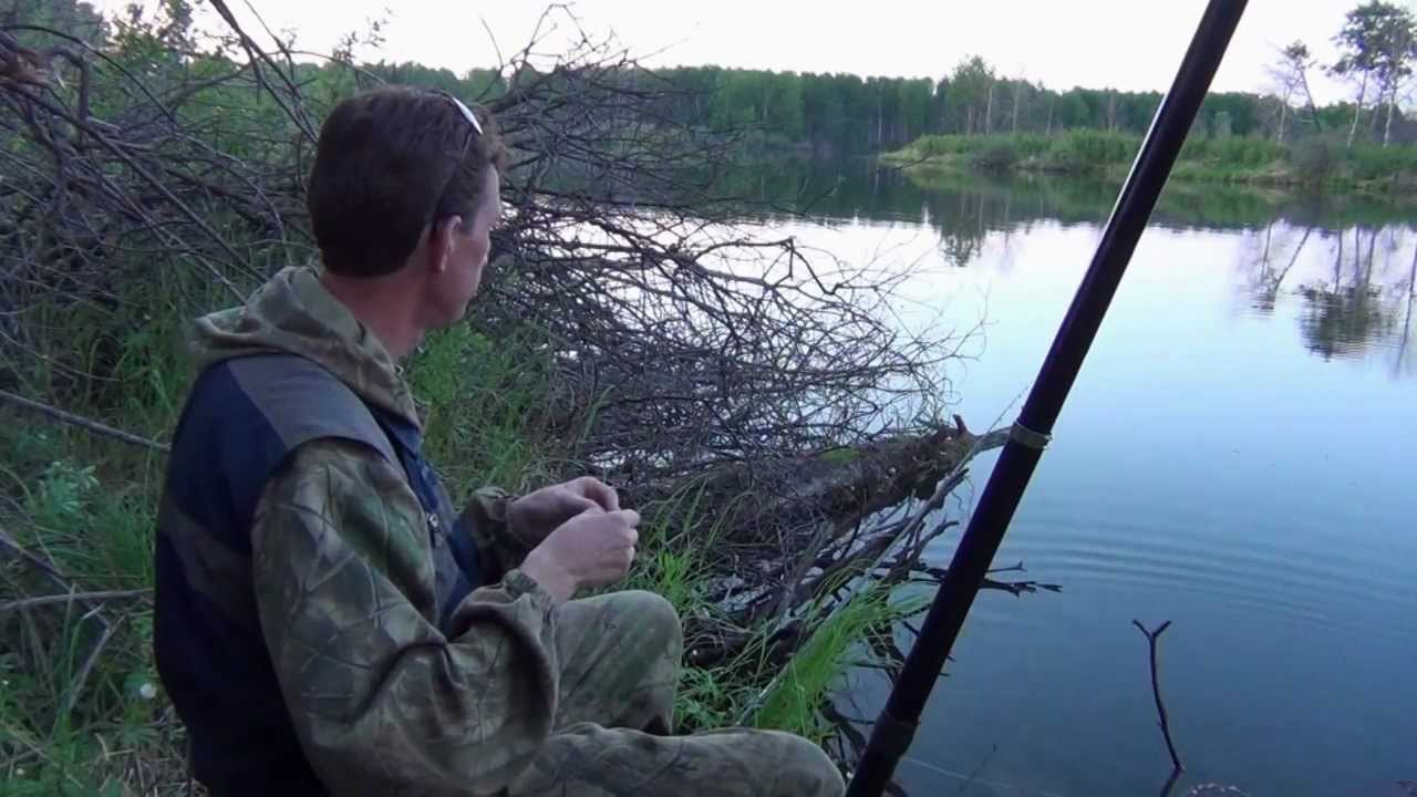 Рыбалка на карася на озере. Ловля карася на озере. Рыбалка в НСО. Рыбалка на Кривой ямной. Озеро Быковское Новосибирск рыбалка на озере.
